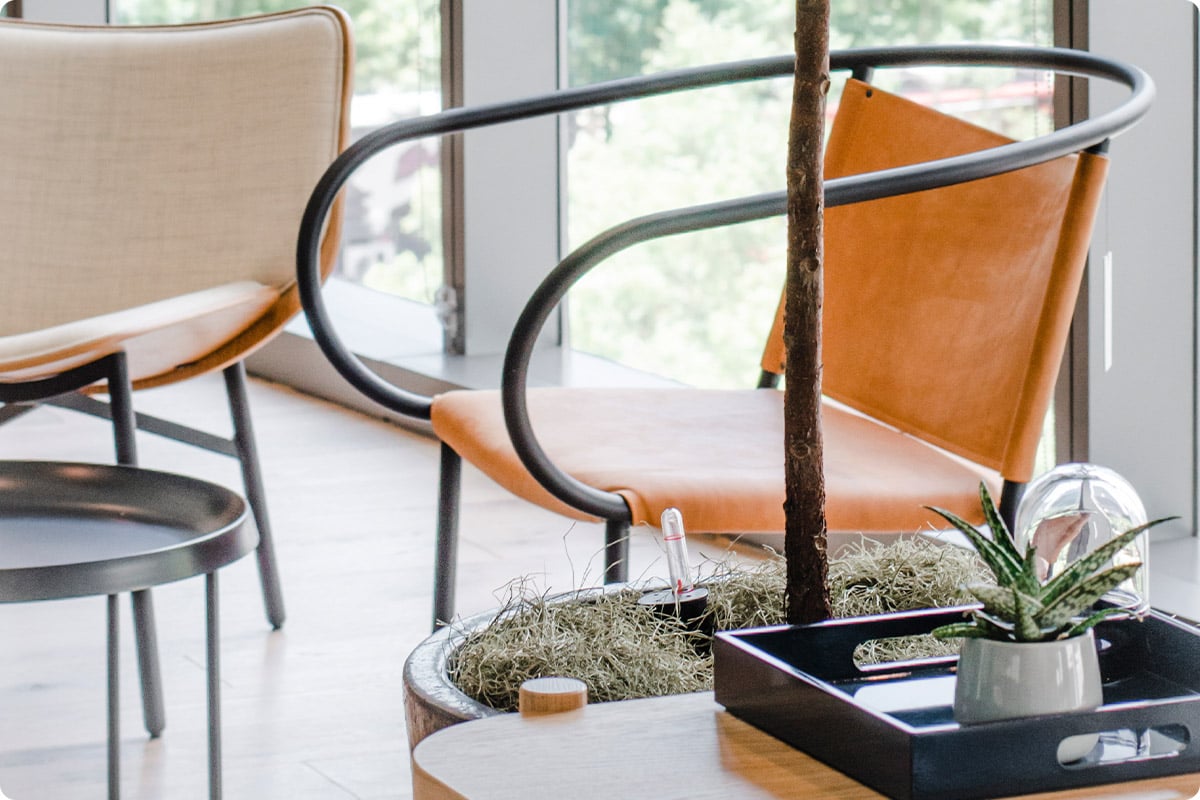 how-plants-reduce-stress-boost-productivity-1