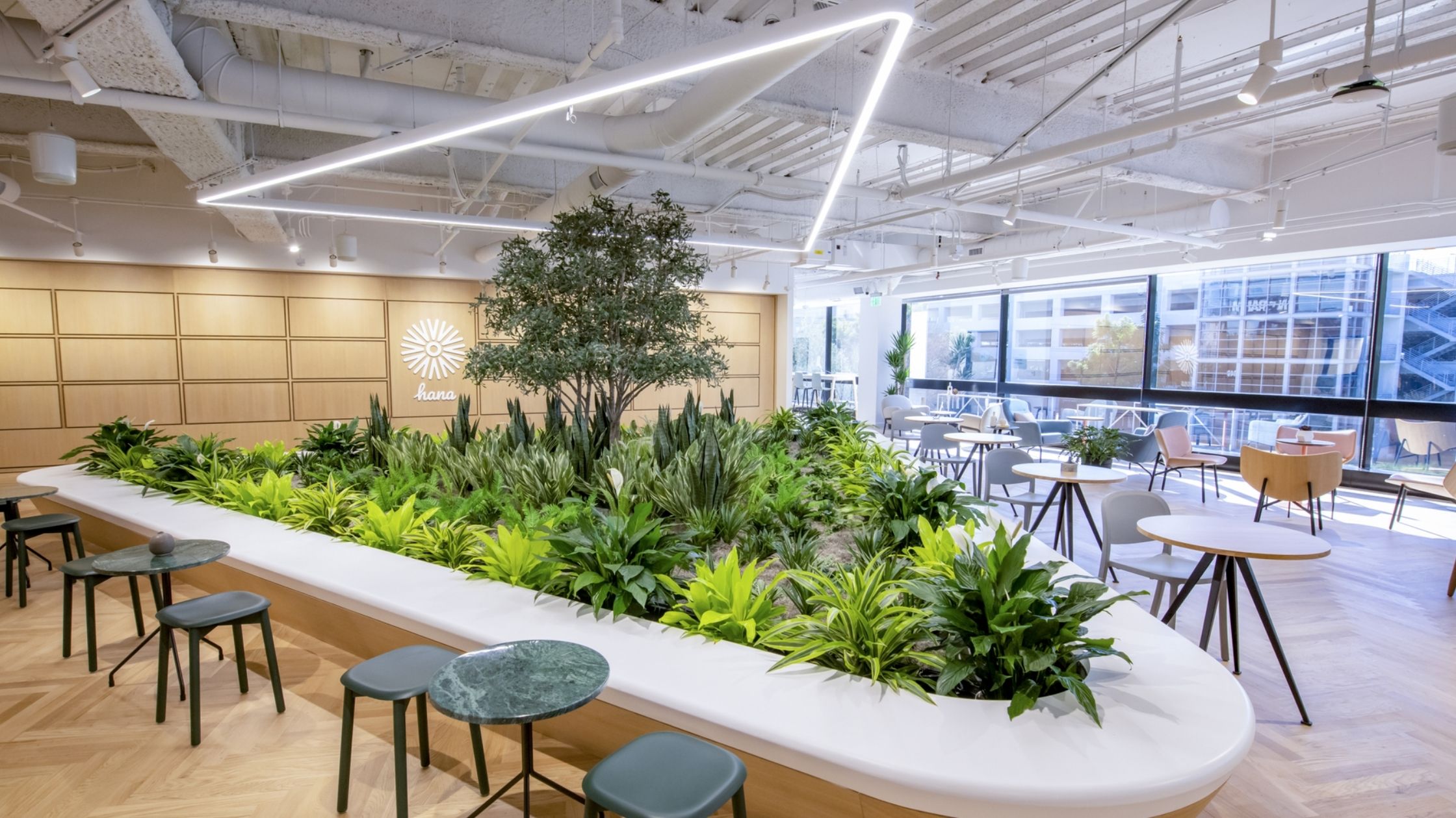 Studies show plants can have big benefits in the workplace. Here are the top benefits and best plants you can add to your office or desk. 